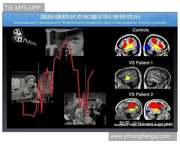 北京网球队进攻策略分析与效果评估探讨